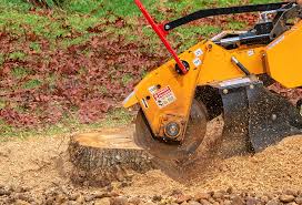 Best Soil Testing and Treatment  in Hillsville, VA